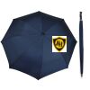 Team Umbrella Thumbnail
