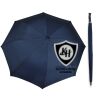 Team Umbrella Thumbnail