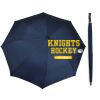Team Umbrella Thumbnail
