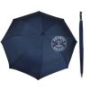 Team Umbrella Thumbnail